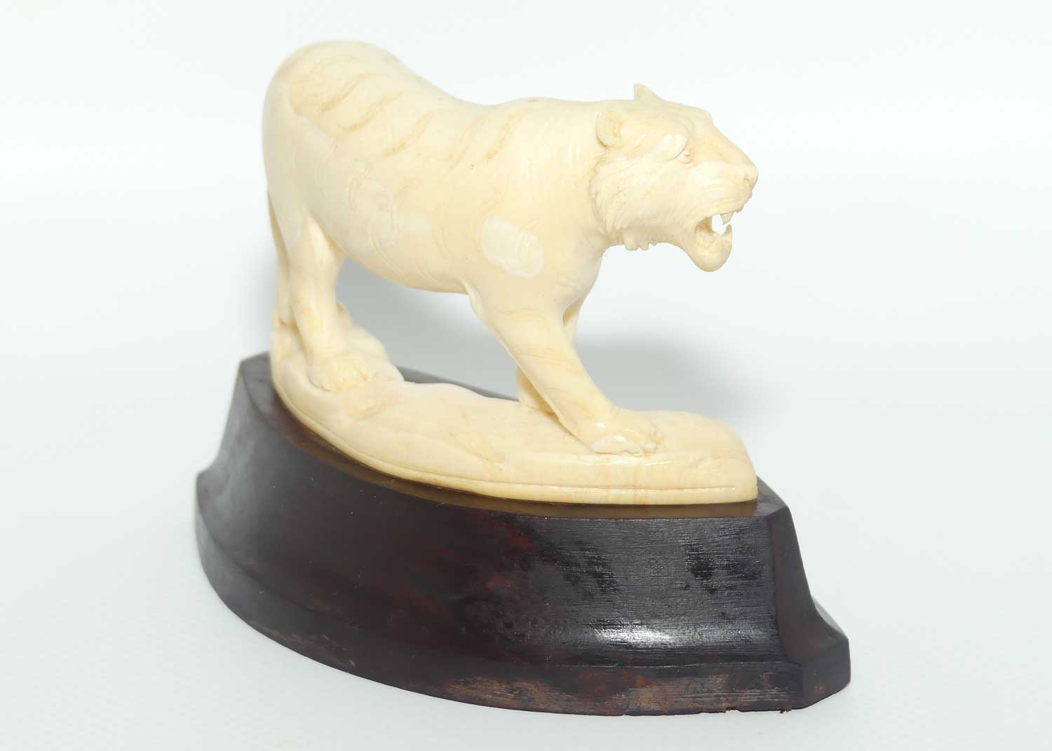 Carved Ivory figure of Tiger Stalking on Rosewood Base