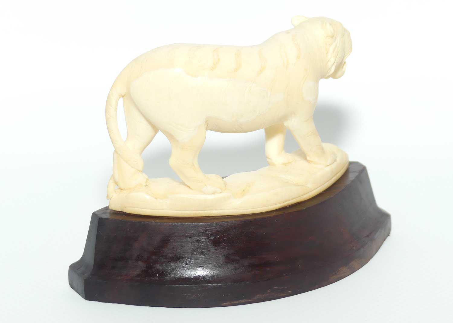 Carved Ivory figure of Tiger Stalking on Rosewood Base