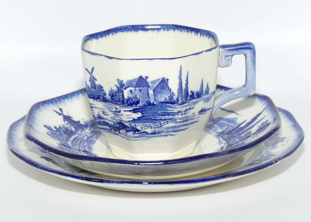 Royal Doulton Norfolk tea trio