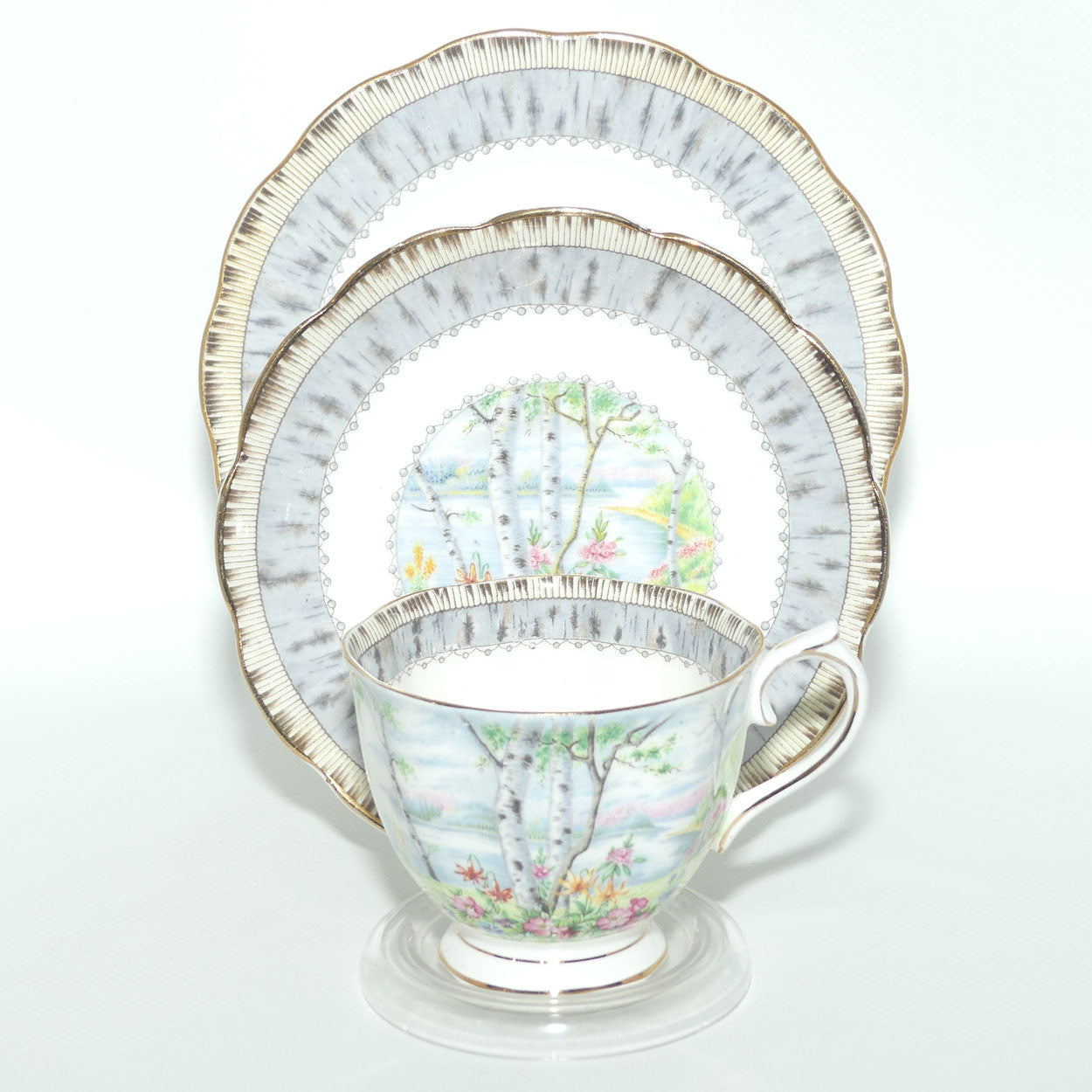 Royal Albert Bone China Silver Birch trio | #2