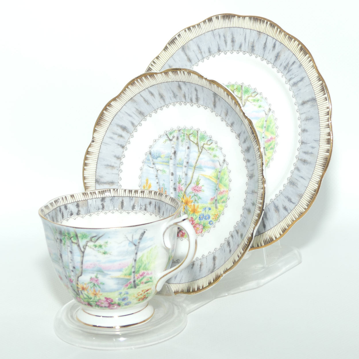 Royal Albert Bone China Silver Birch trio | #2
