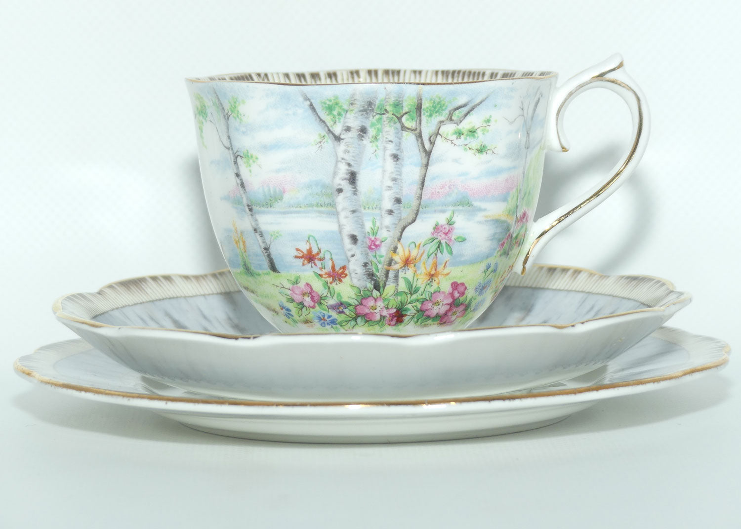 Royal Albert Bone China Silver Birch trio | #2