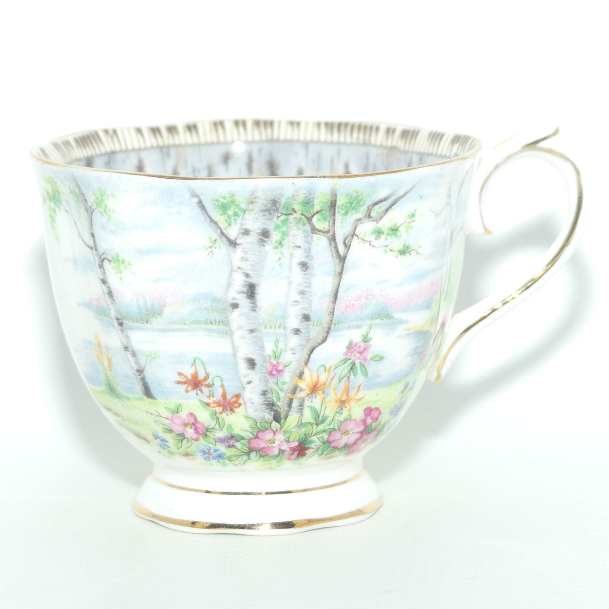 Royal Albert Bone China Silver Birch trio | #2