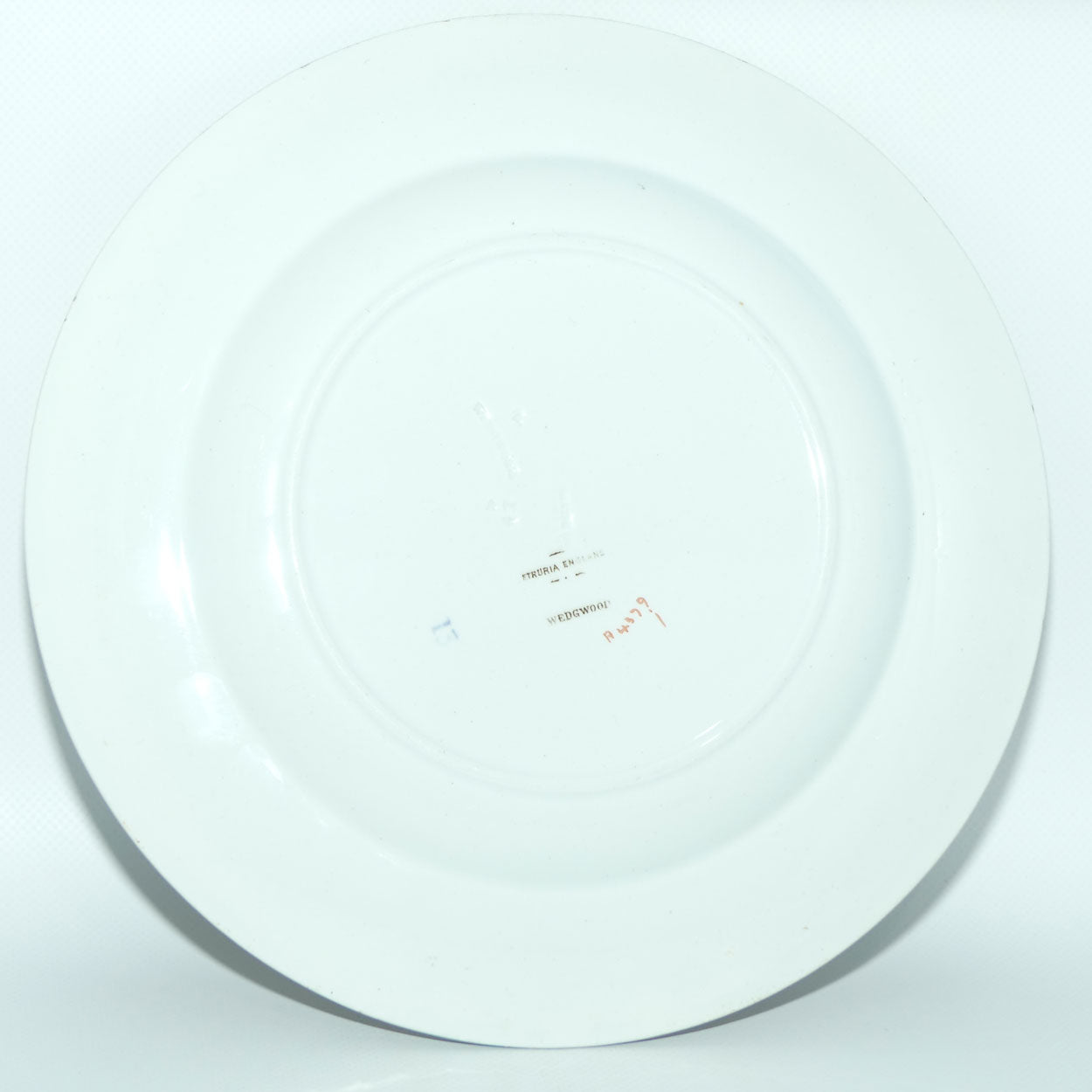 Wedgwood Etruria plate | Turkey with Floral Border A4379 | Thanksgiving