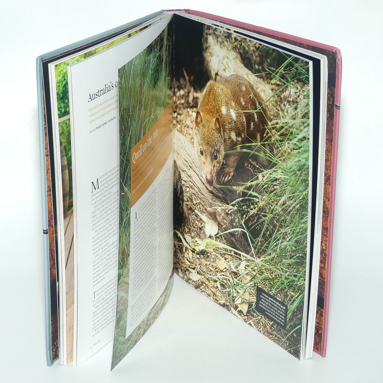 Reference Book | Australian Geographic | Urban Wild The Aussie animals that share our cities, our backyards and our lives