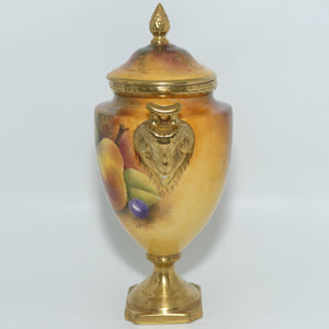 Coalport Hand Painted Fruit Urn #2 | Satyr Handles | signed A Baggott