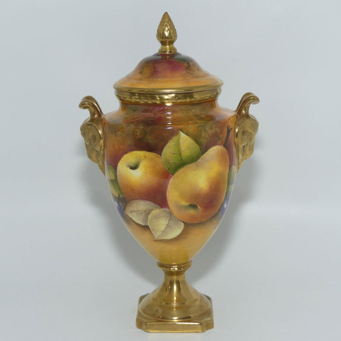 Coalport Hand Painted Fruit Urn #2 | Satyr Handles | signed A Baggott