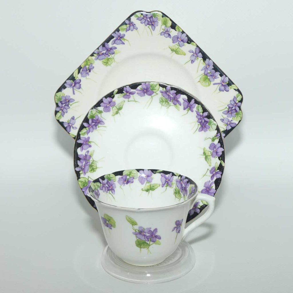 Royal Doulton Violets pattern trio | H3747 | Violets with Black Border