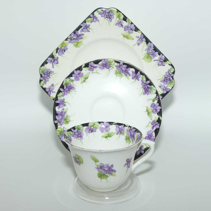 Royal Doulton Violets pattern trio | H3747 | Violets with Black Border