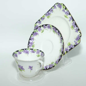 Royal Doulton Violets pattern trio | H3747 | Violets with Black Border