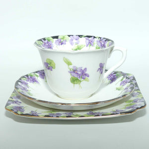 Royal Doulton Violets pattern trio | H3747 | Violets with Black Border