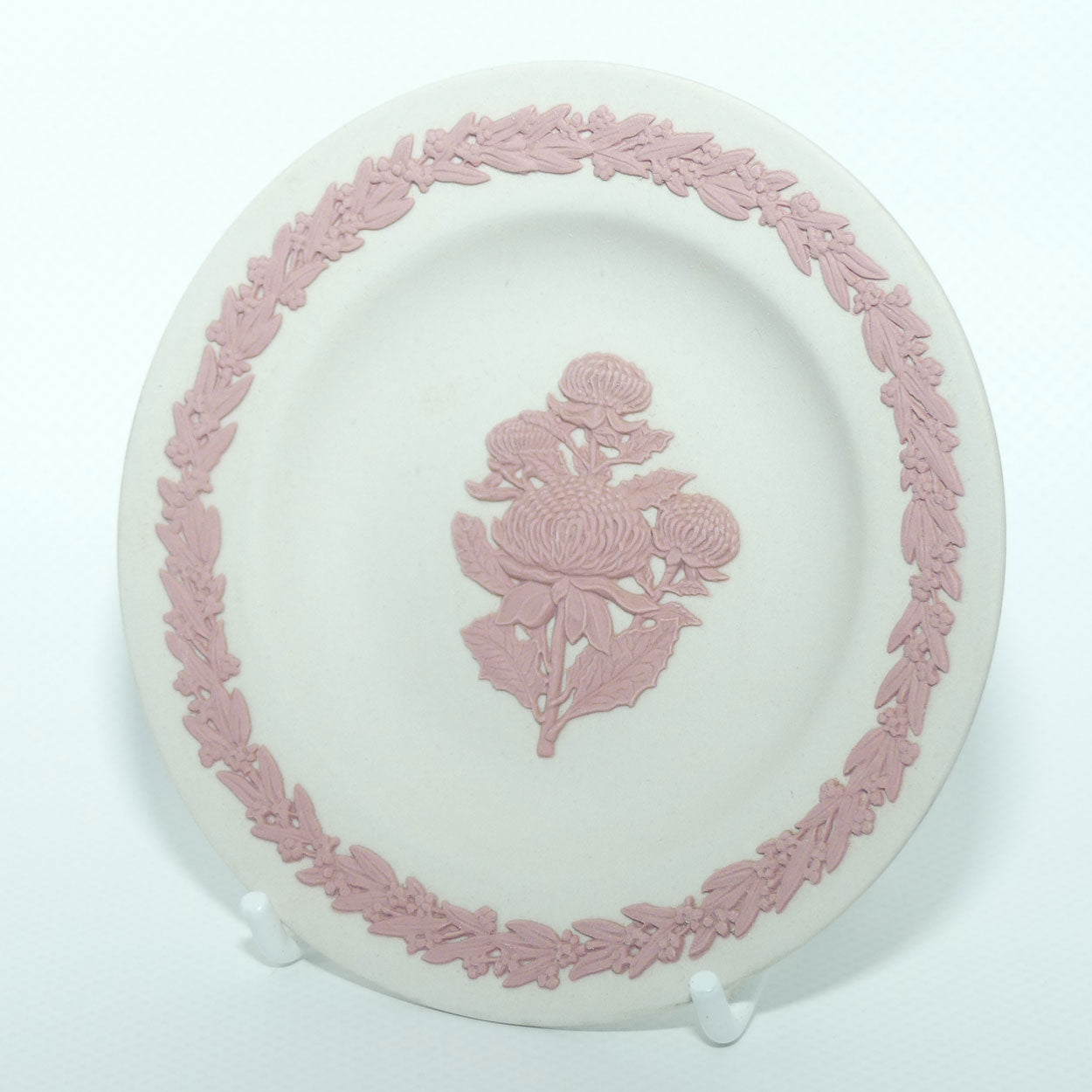 Wedgwood Jasper | Australian Native Flowers | Waratah | Pink on White