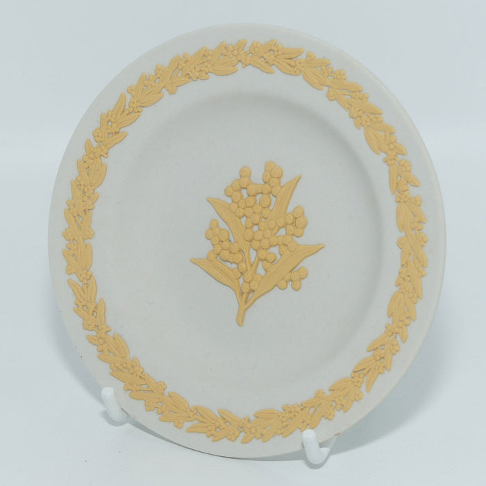 Wedgwood Jasper | Australian Native Flowers | Wattle | Cane on White | box + Cert