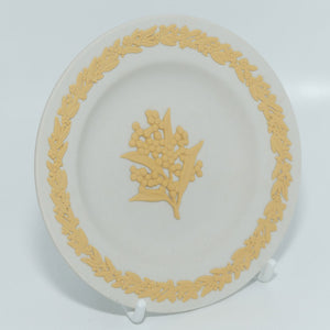 Wedgwood Jasper | Australian Native Flowers | Wattle | Cane on White | box + Cert