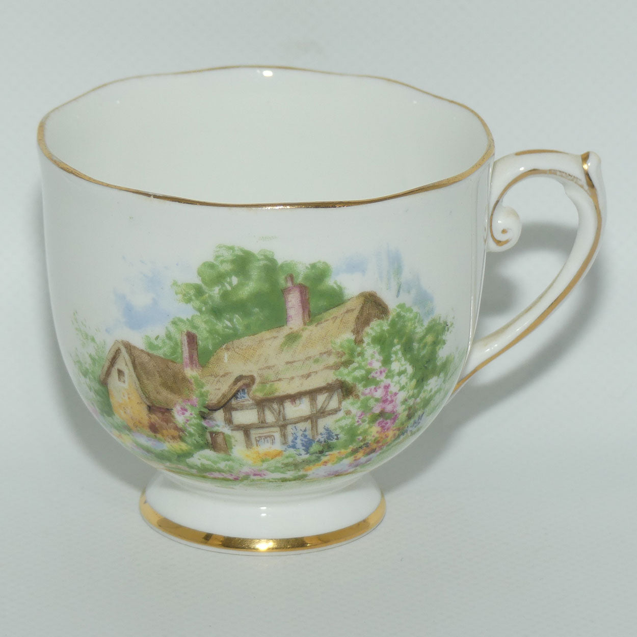 Roslyn Bone China Wayside tea trio
