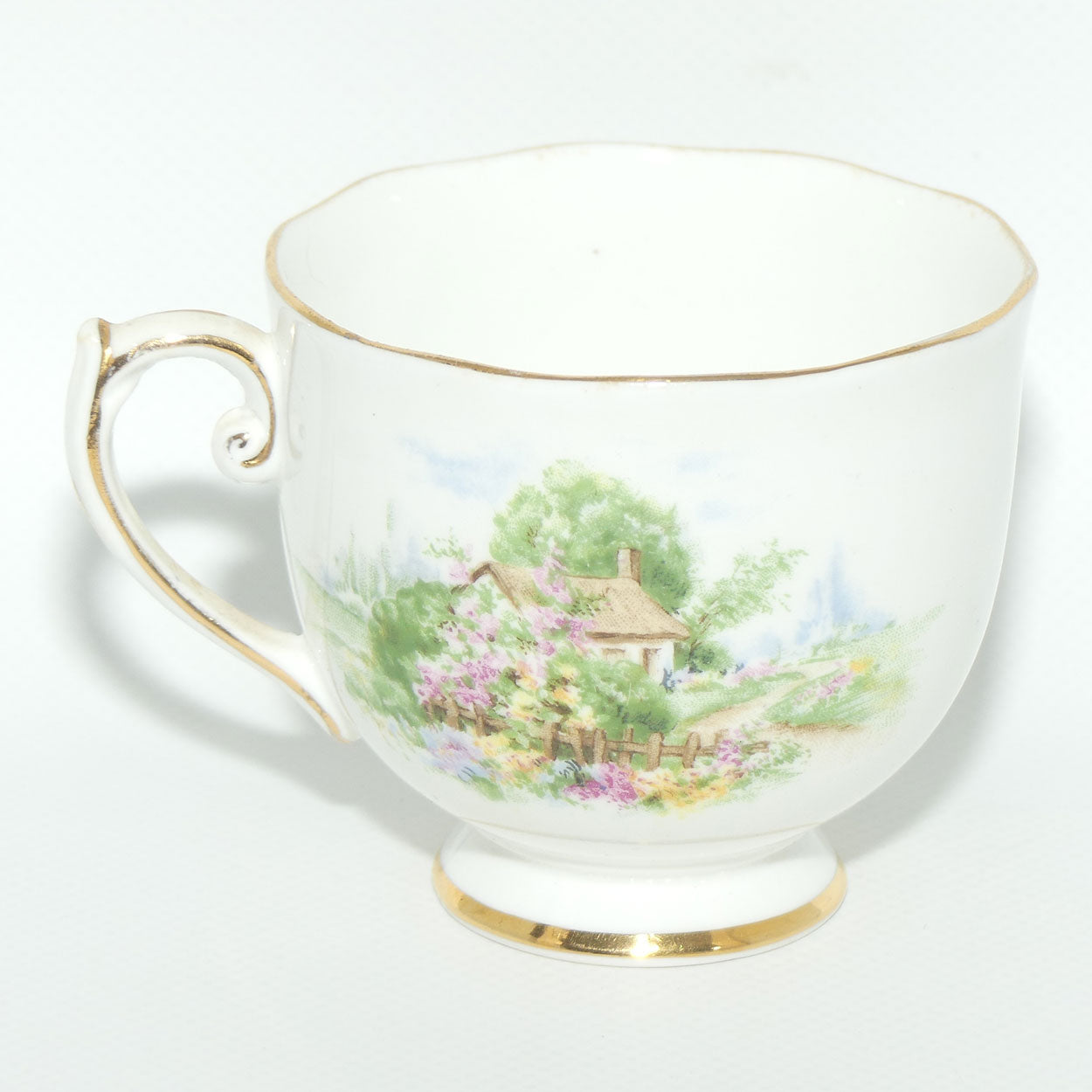 Roslyn Bone China Wayside tea trio