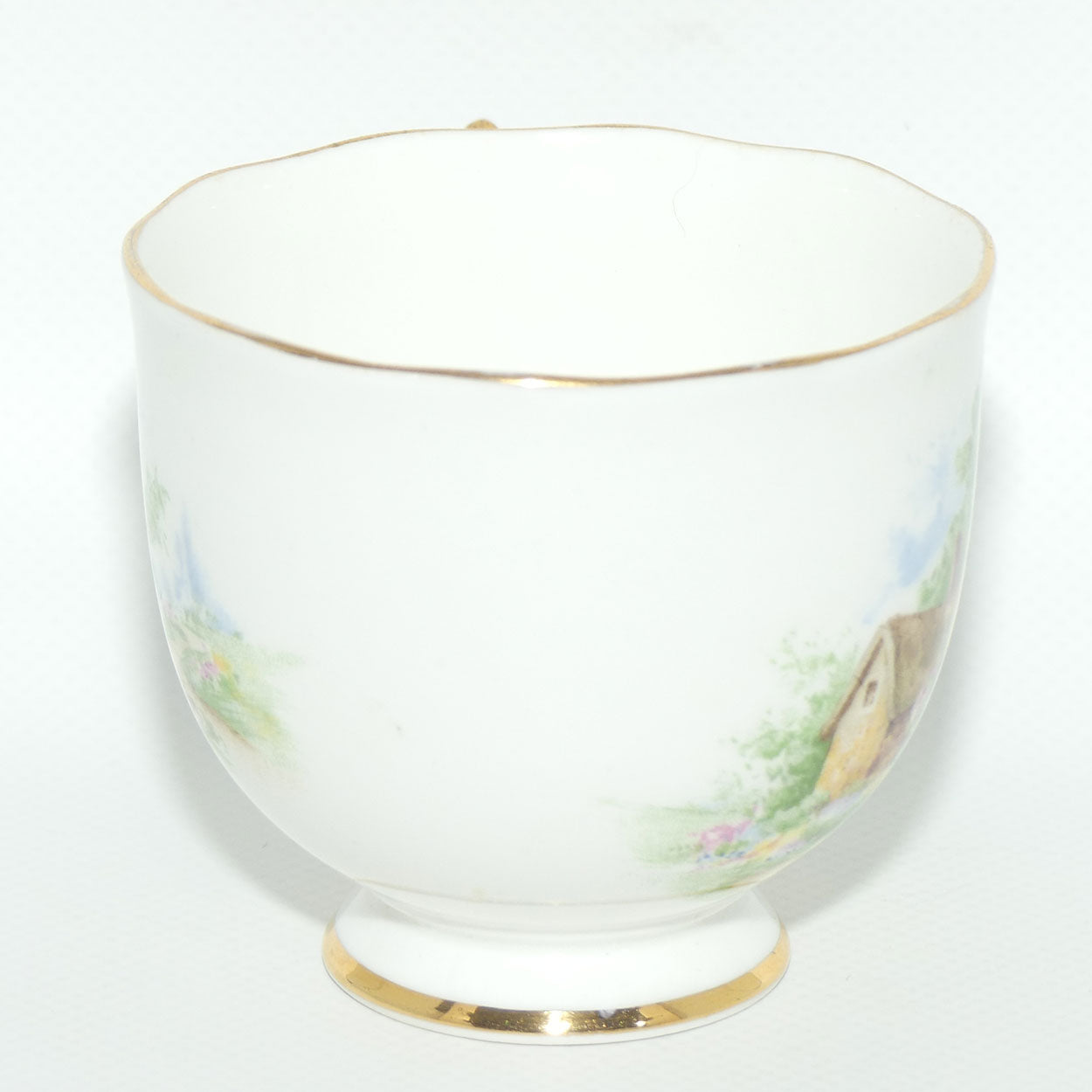 Roslyn Bone China Wayside tea trio