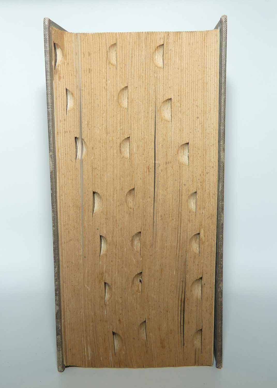 Webster's New Twentieth Century Dictionary of the English Language | Unabridged | Second Edition | 1962