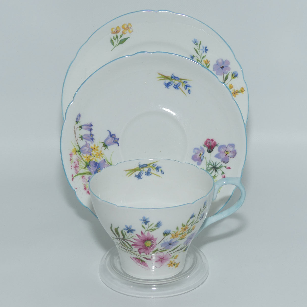 Shelley New Cambridge Wildflowers trio | 13668