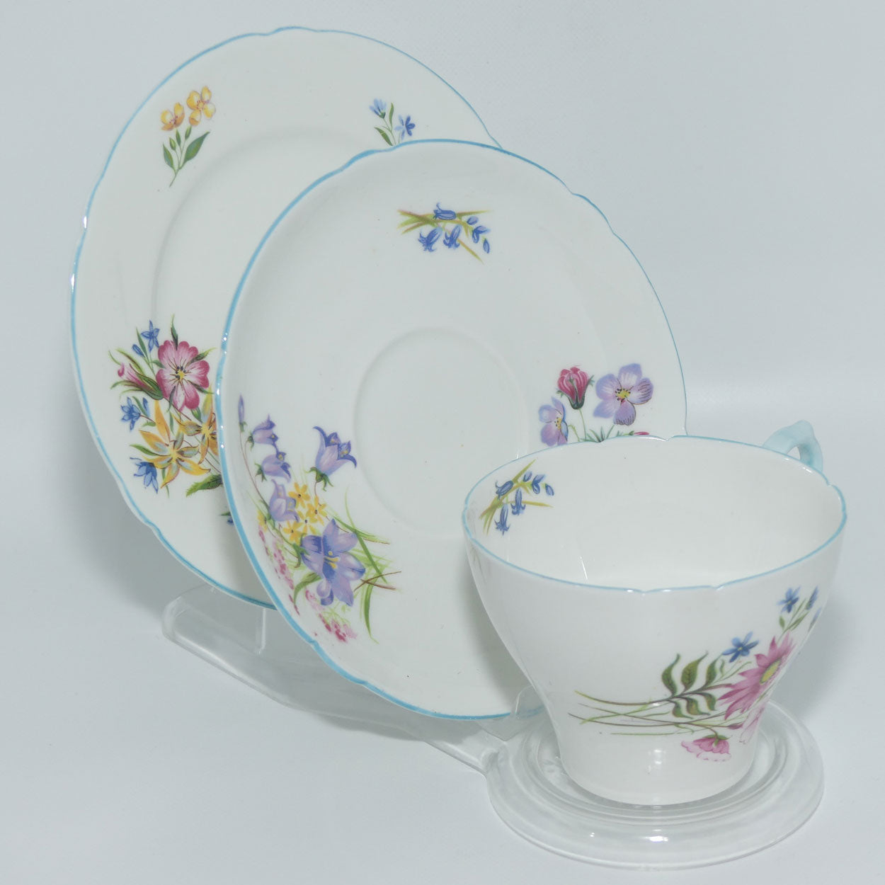 Shelley New Cambridge Wildflowers trio | 13668