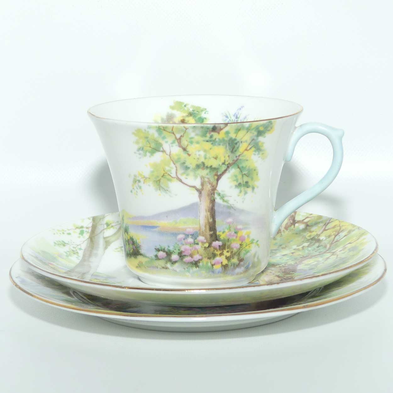 Shelley Vincent shape Woodland trio | 13348