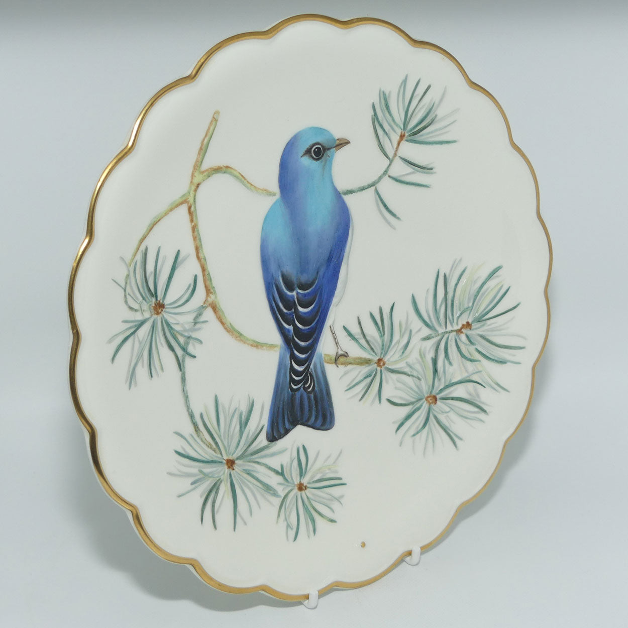 Royal Worcester | The Birds of Dorothy Doughty plates | Mountain Bluebird and Pine | boxed