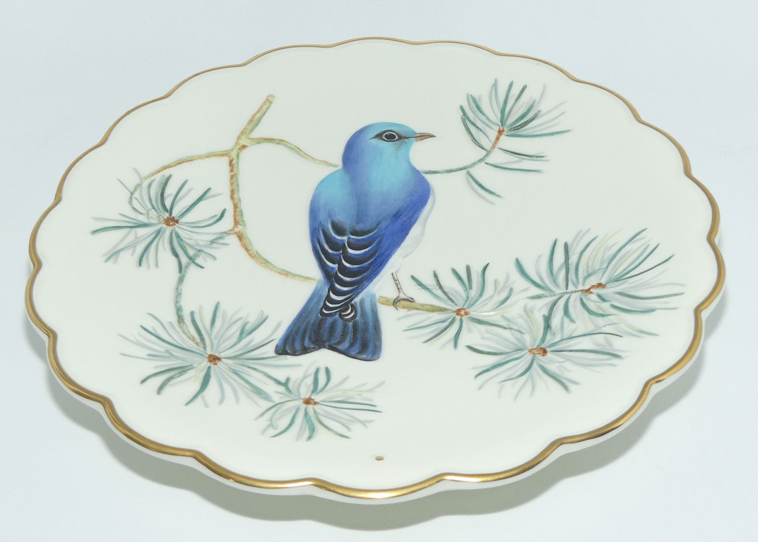 Royal Worcester | The Birds of Dorothy Doughty plates | Mountain Bluebird and Pine | boxed