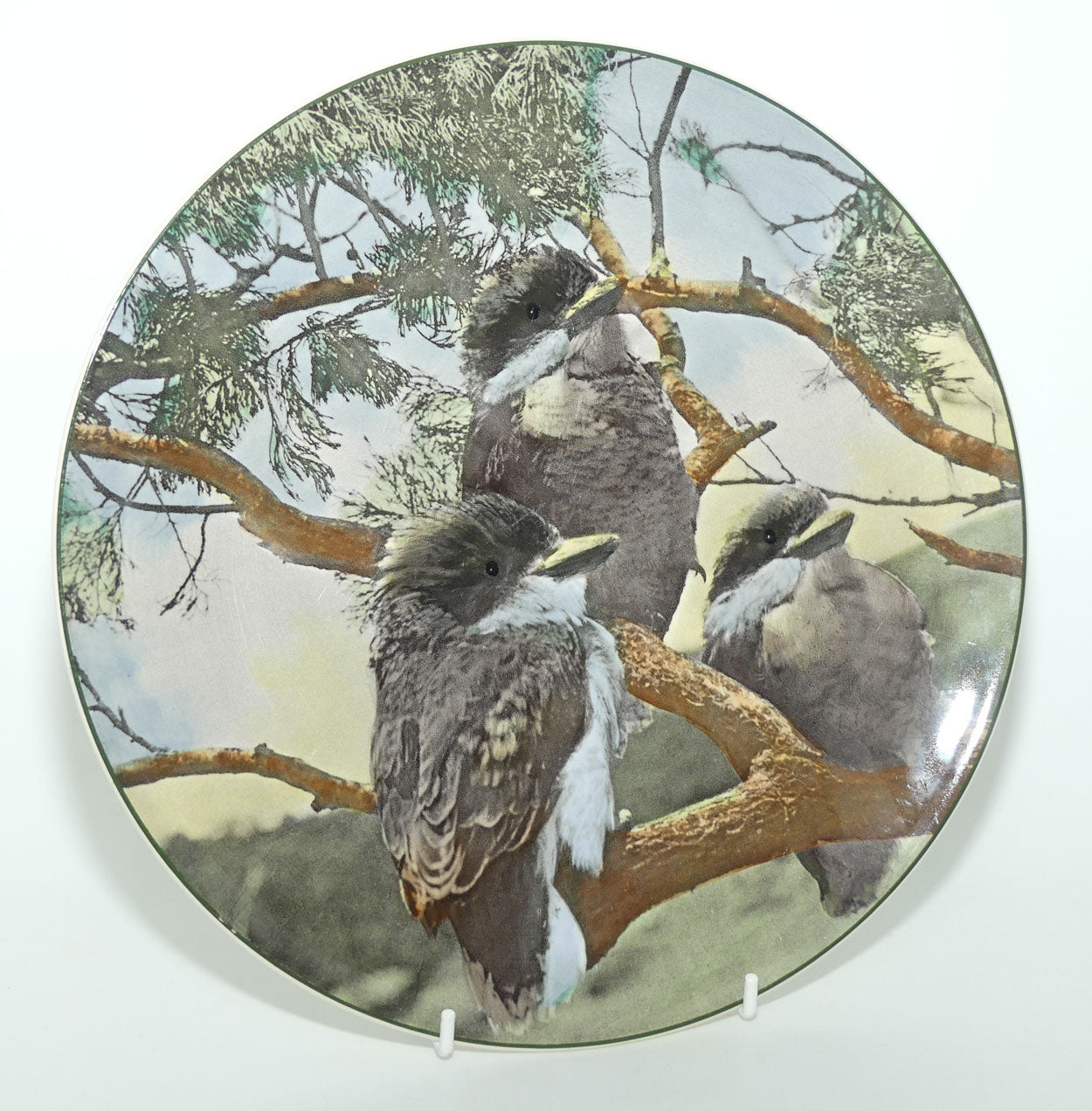 Royal Doulton Australian Views plate #7 | Young Kookaburras D6426
