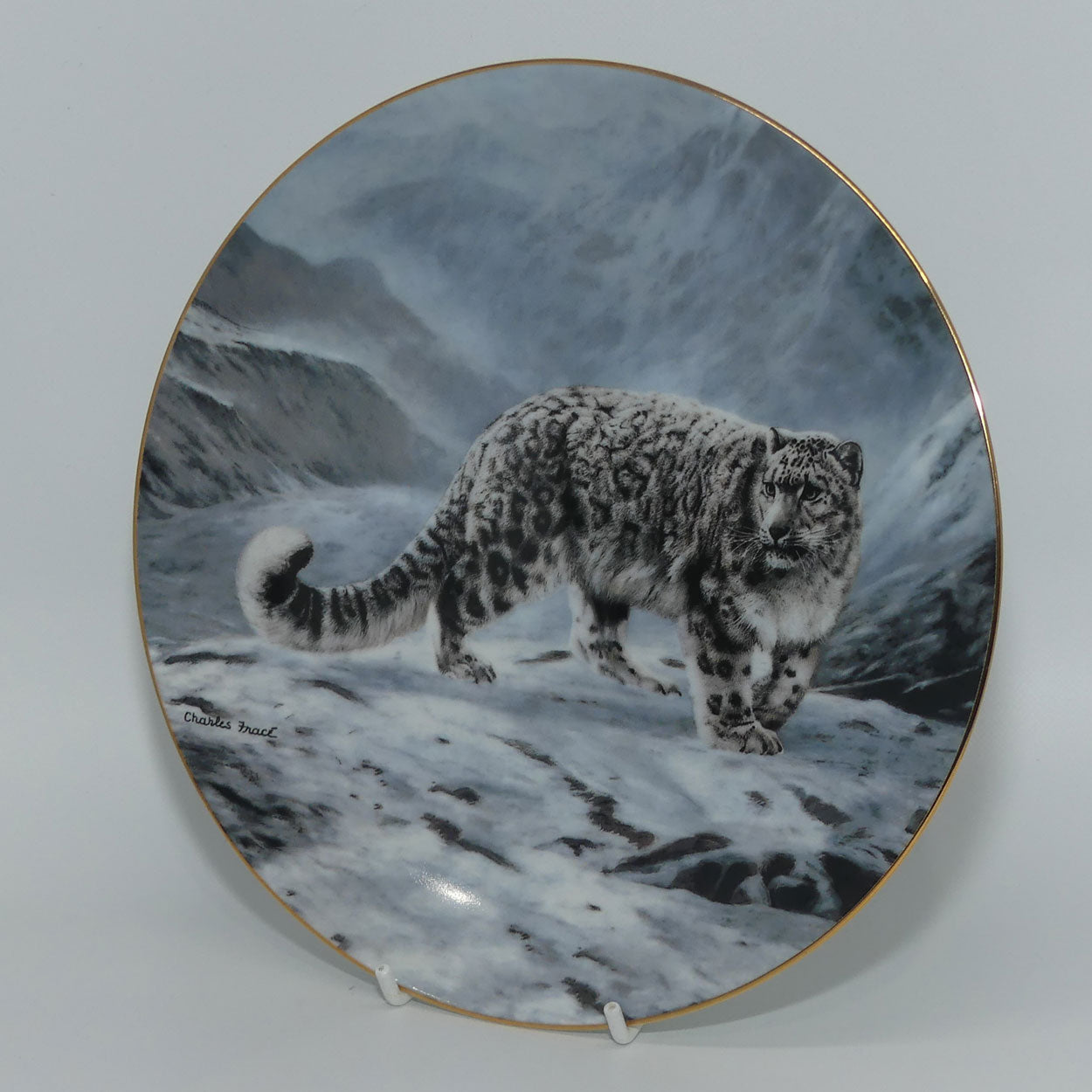 bradex-84-g20-48-1-plate-the-worlds-most-magnificent-cats-fleeting-encounter