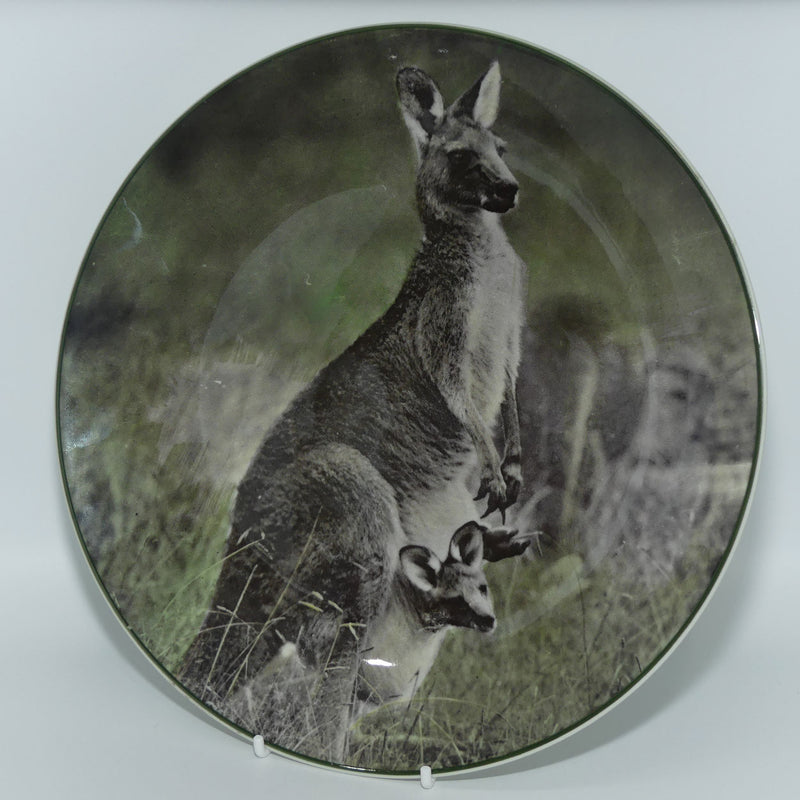 Royal Doulton Australian Views plate #4 | Mother Kangaroo with Joey TC ...