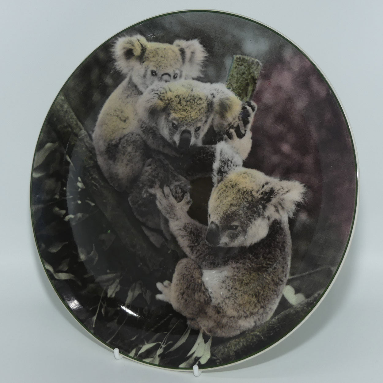 Royal Doulton Australian Views plate #5 | Koala Bears D6424 | #1 ...