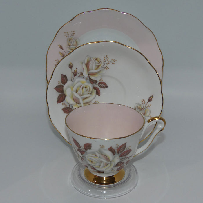 Queen Anne Bone China Autumn Rose pattern trio | Shell