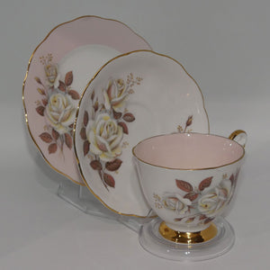 queen-anne-bone-china-autumn-rose-pattern-trio-shell