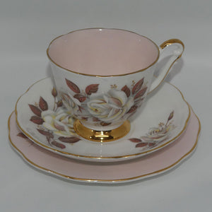 queen-anne-bone-china-autumn-rose-pattern-trio-shell