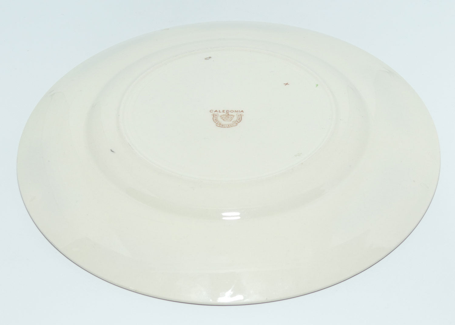 Alfred Meakin Caledonia plate | 25cm
