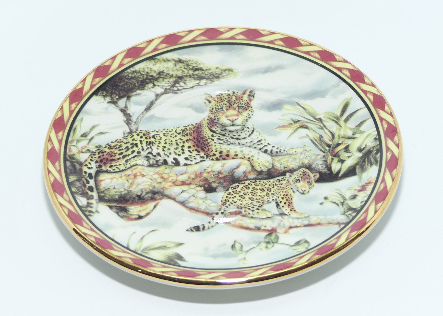 R. Capo DiMonte Italy Leopard demi tasse duo