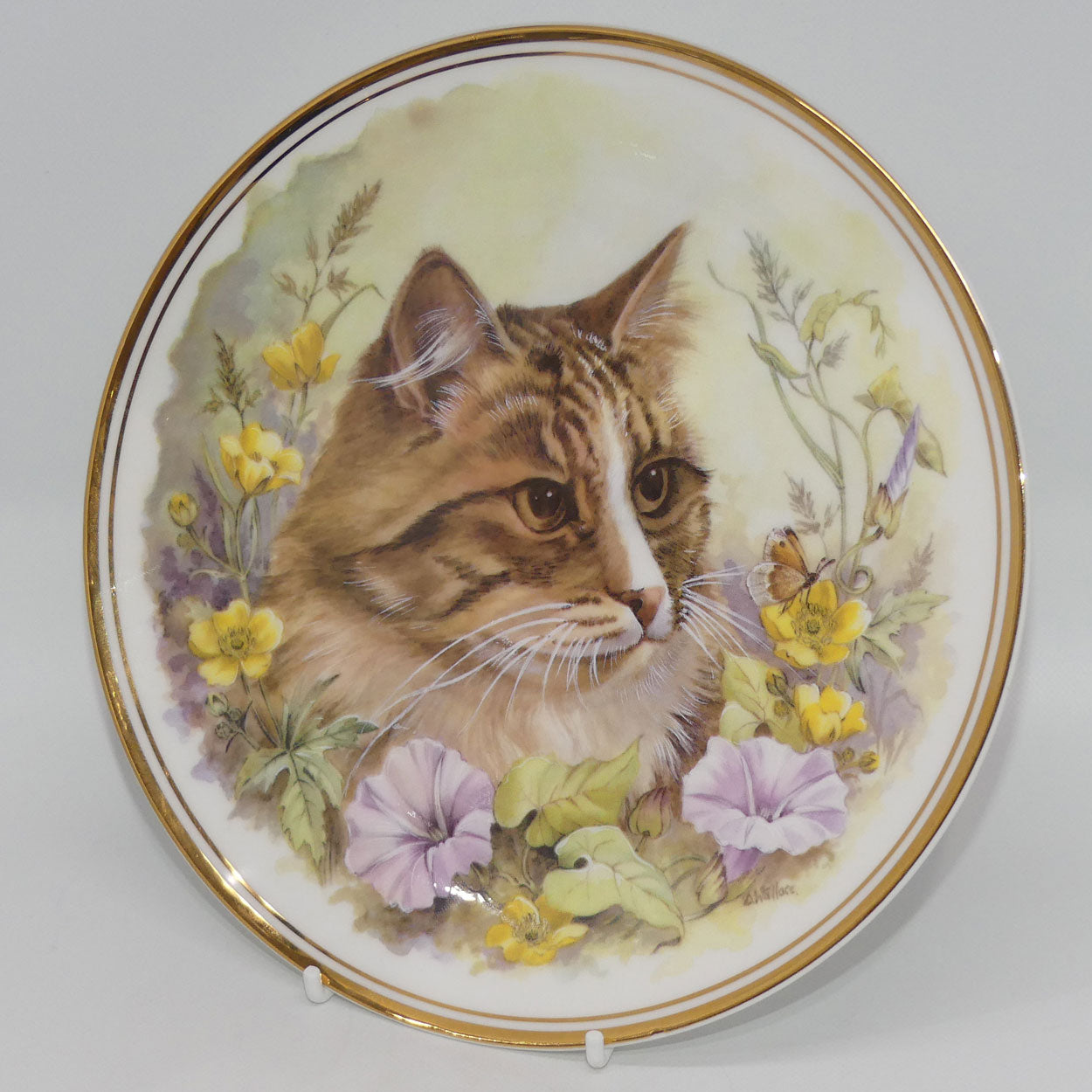royal-vale-bone-china-cat-plate-signed-d-wallace