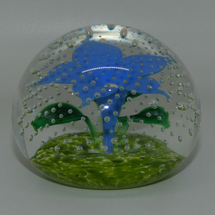 John Deacons Scotland Flower in the Rain Magnum paperweight | Pale Blue Flower | Lime ground