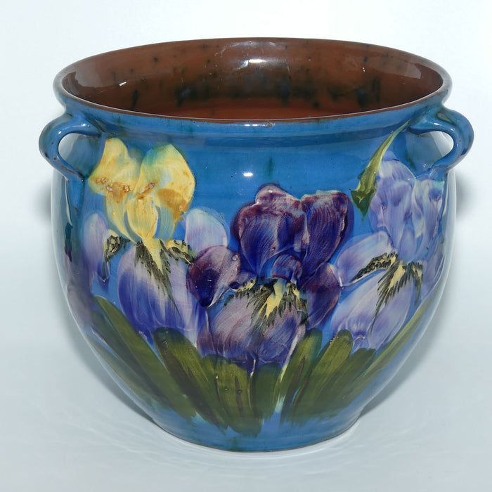 Lemon and Crute Torquay Faience Iris decor tri handle Jardiniere