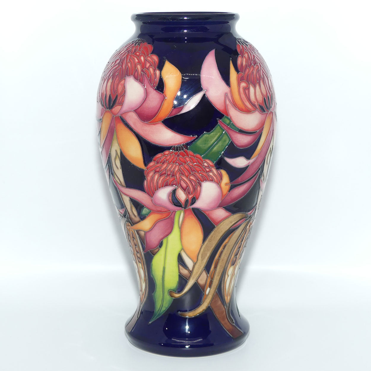 Moorcroft Pottery | New World Waratah 46/10 vase | TRIAL