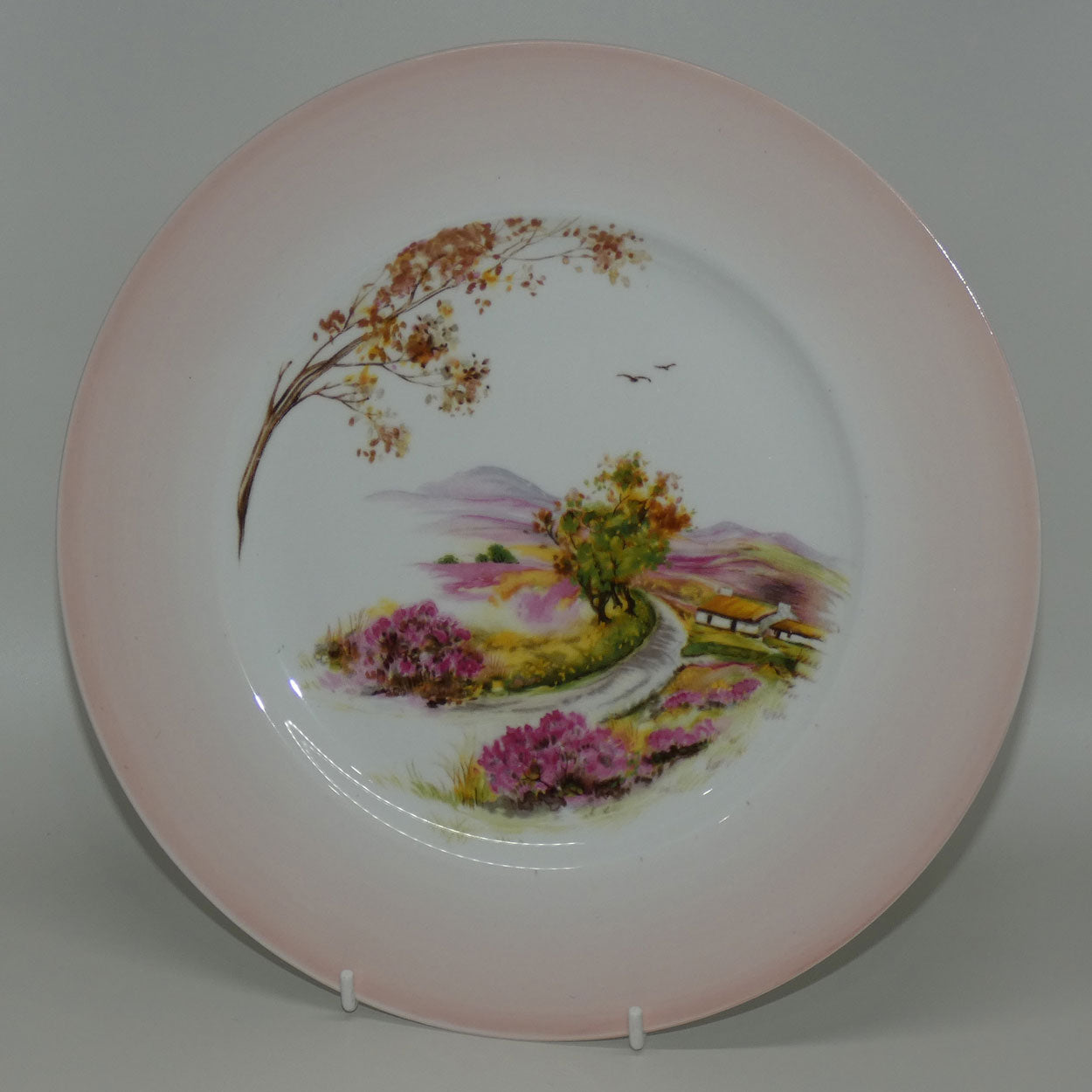 shelley-england-old-ireland-plate-pink-border-round