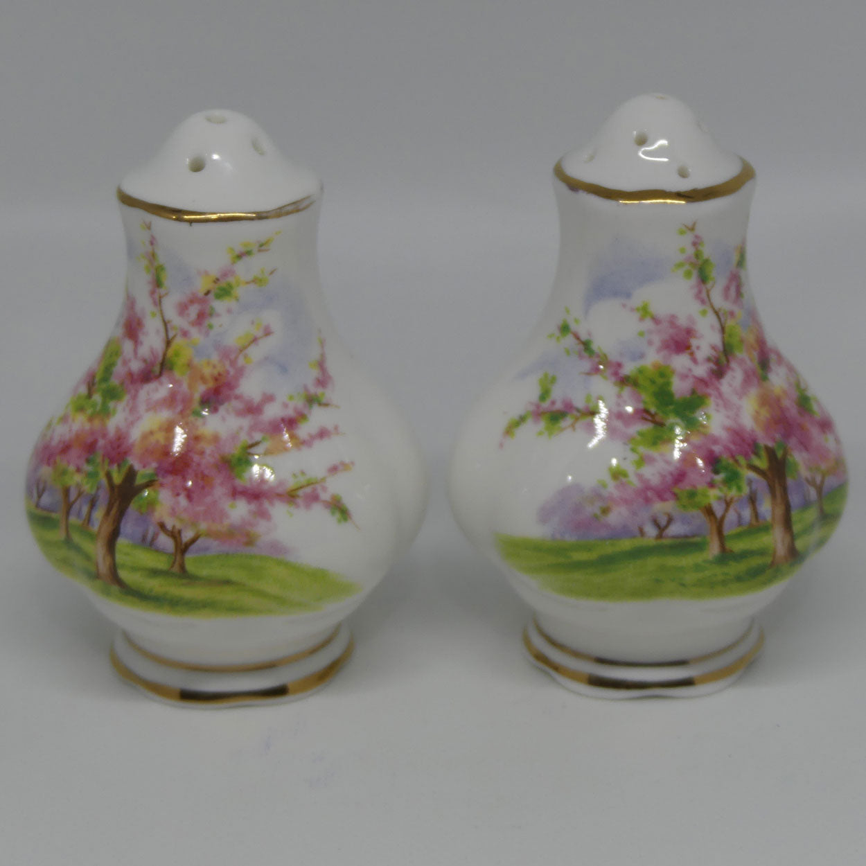 royal-albert-england-blossom-time-salt-and-pepper