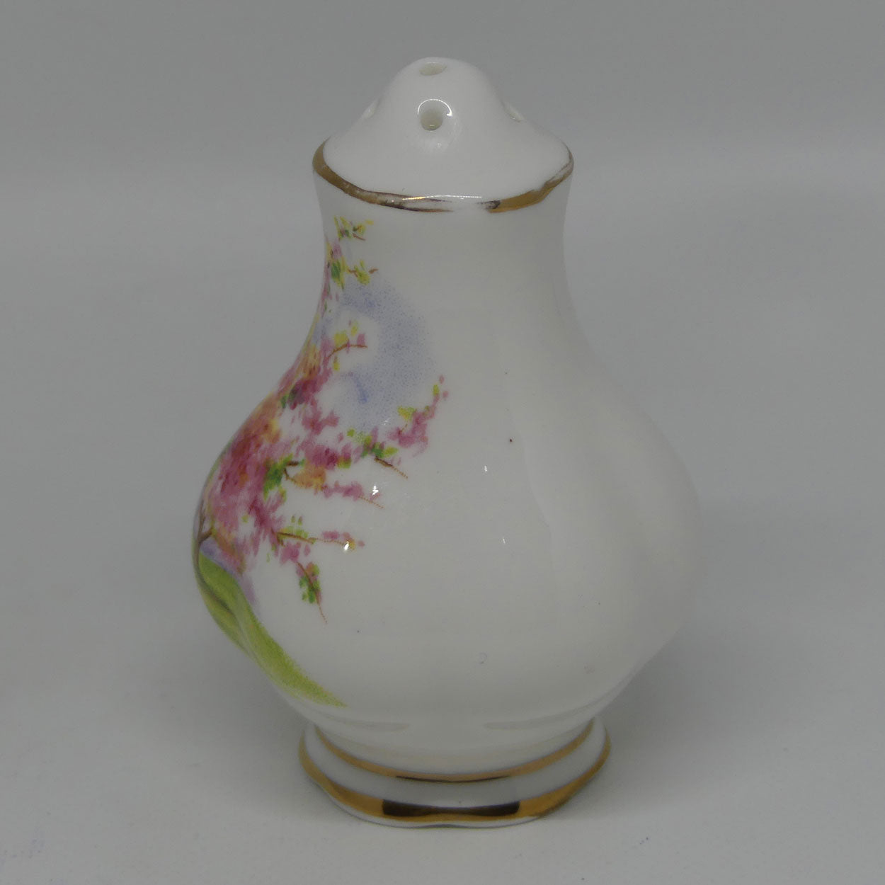 royal-albert-england-blossom-time-salt-and-pepper