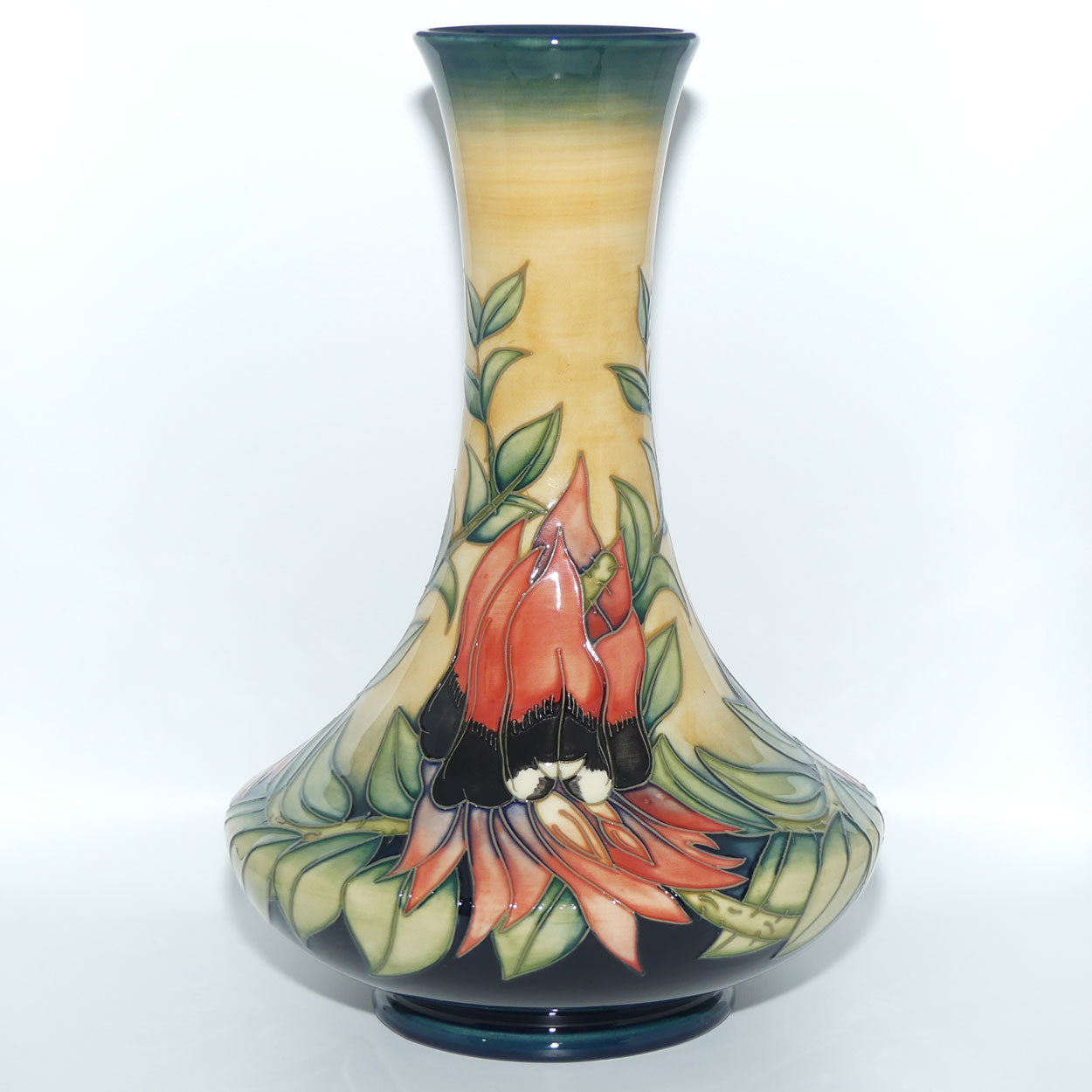 Moorcroft Pottery | Sturt Desert Pea 62/11 vase | Australian Exclusive Limited Edition