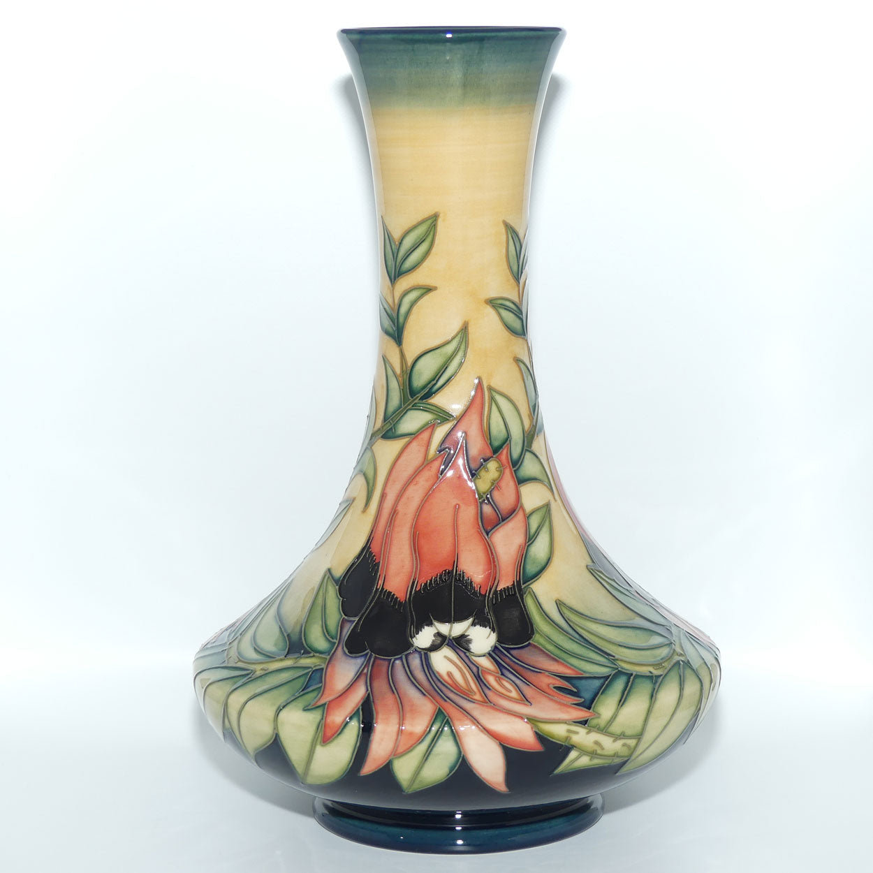 Moorcroft Pottery | Sturt Desert Pea 62/11 vase | Australian Exclusive Limited Edition